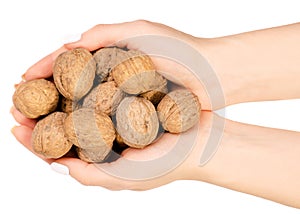 Walnuts in hand