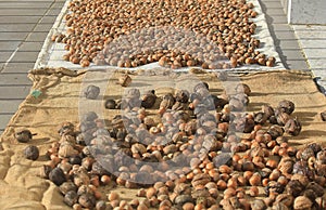 Walnuts and hazelnuts on jute bags