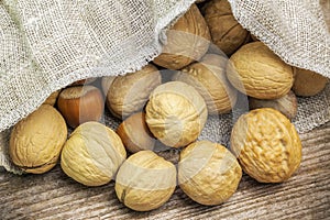 Walnuts with hazelnuts in linen bag on table