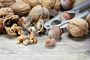 Walnuts and hazelnuts with a nutcracker on rustic wood, closeup