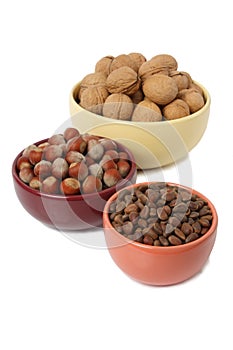 Walnuts, hazelnuts and pine nuts