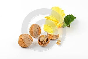 Walnuts and hibiscus flower