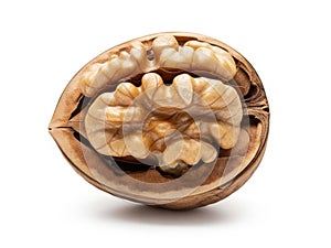Walnuts inside shell isolated on white background