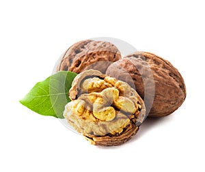 Walnuts isolated