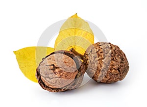 Walnuts