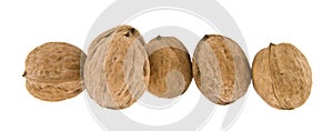 Walnuts isolated on white background