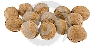 Walnuts isolated on white background