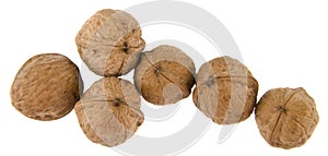 Walnuts isolated on white background