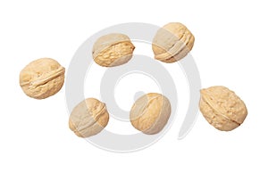 Walnuts isolated white background