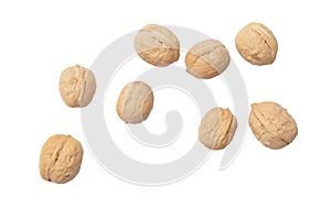 Walnuts isolated white background