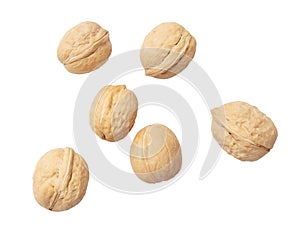 Walnuts isolated white background