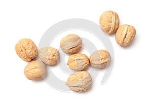 Walnuts isolated white background