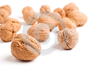 Walnuts isolated on white