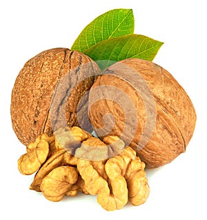 Walnuts isolated on white background