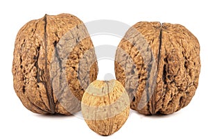 Walnuts isolated on white background, on table. Macro walnuts., close up, top view.