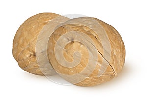 Walnuts on an isolated white background.