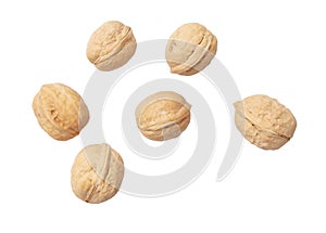 Walnuts isolated white background