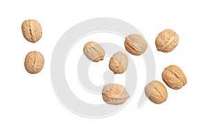 Walnuts isolated white background
