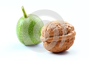 Walnuts isolated white background