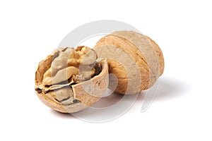 Walnuts isolated on white. Walnut in a nutshell