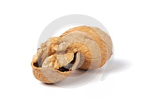 Walnuts isolated on white. Walnut in a nutshell