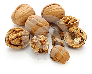 Walnuts, kernel and shell isolated