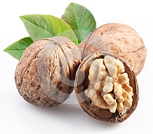 Walnuts with leaf.