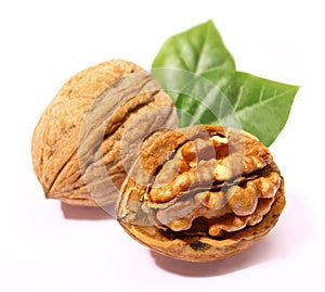 Walnuts with leaf