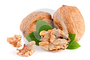 Walnuts with leaf isolated on white background