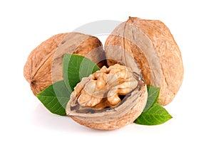 Walnuts with leaf isolated on white background