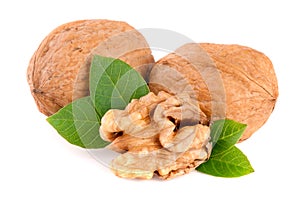 Walnuts with leaf isolated on white background