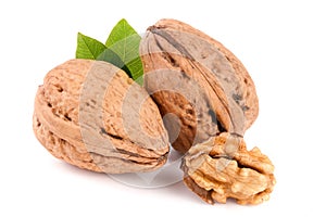 Walnuts with leaf on white background
