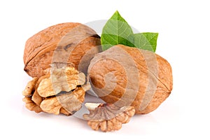 Walnuts with leaf on white background