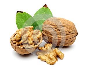 Walnuts and leaves photo