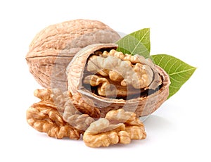 Walnuts with leaves photo
