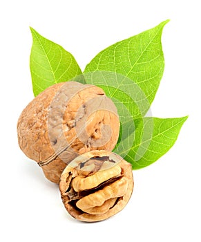 Walnuts with leaves.
