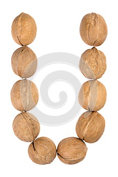 Walnuts lined in the shape of the letter "U" isolated on white
