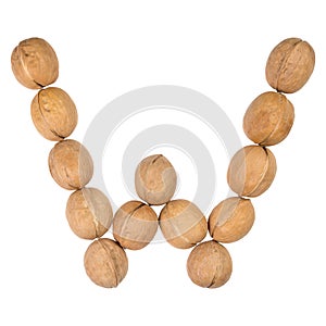 Walnuts lined in the shape of the letter "W" isolated on white