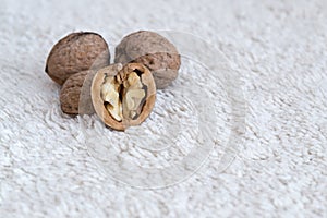 Walnuts in nut shells on white blanket.