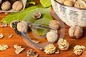 Walnuts with nutcracker