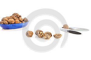 Walnuts and nutcracker