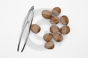 Walnuts and nutcracker isolated on white
