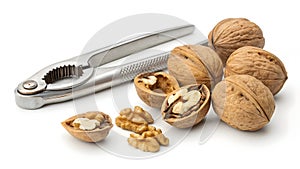 Walnuts and nutcracker isolated on white