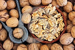 Walnuts photo