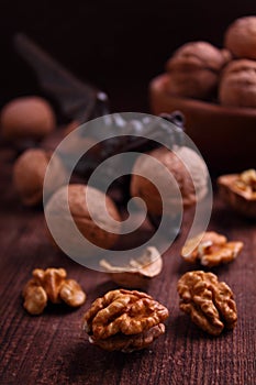 Walnuts and Nutcrackers dragon