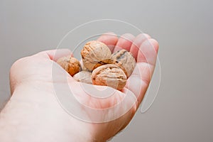 Walnuts in the palm of your hand