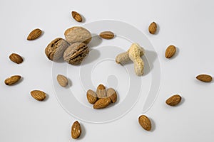 Walnuts, peanut and almonds composition in a white background