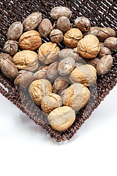 Walnuts and pecans in bulk
