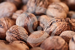 Walnuts in a pile