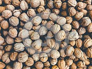 Walnuts , pile of nuts, walnuts background